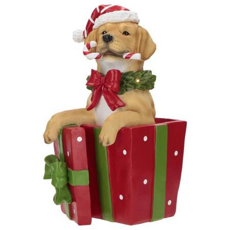 T-Pies w pudełku prezentowym, LED 23x19,5x38,7
