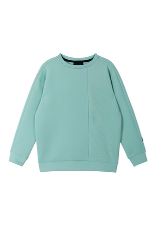 Sweatshirt REIMA Letkein Cool green