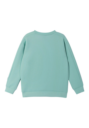 Sweatshirt REIMA Letkein Cool green