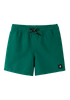 Swim shorts REIMA Somero Deeper Green