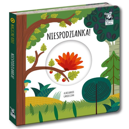  Niespodzianka! Magiczne koło. Kapitan Nauka