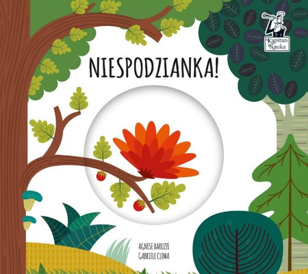  Niespodzianka! Magiczne koło. Kapitan Nauka