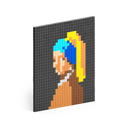 Pixio Masterpiece Girl with a Pearl Earring, 100 | Pixio®