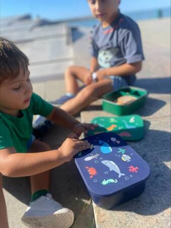 LL-Lunchbox dla dzieci 1,2l Ocean, Little