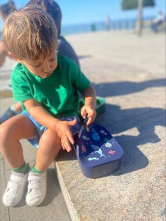 LL-Lunchbox dla dzieci 1,2l Ocean, Little