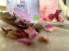 TD-BIO Zestaw 2 herbat organicznych Róza + Hibisku